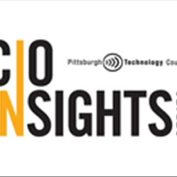 CIO Insights: CIO Survey Results